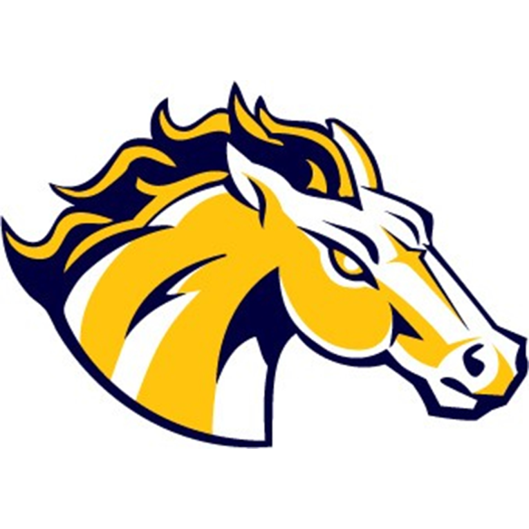 Rockford season comes to an end at the hands of Breck Mustangs